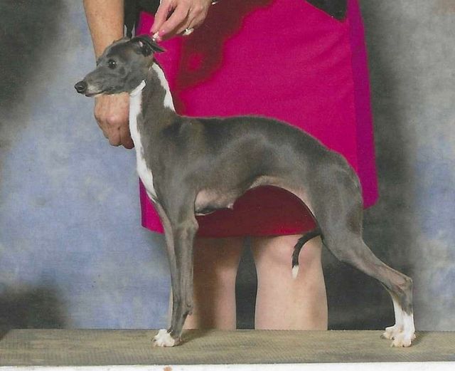 All Roads Lead to Marchwind